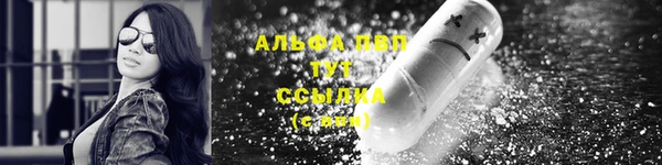 индика Новокубанск