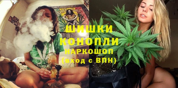 тгк Няндома