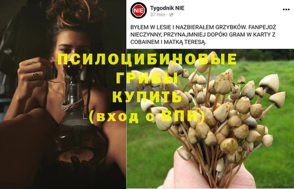 трава Нягань