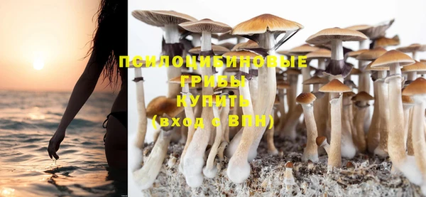 тгк Няндома