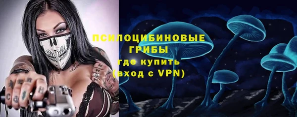тгк Няндома