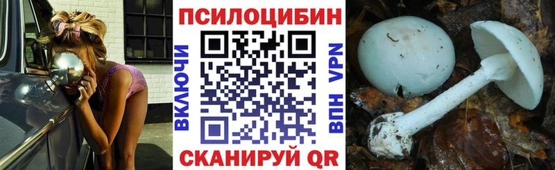 магазин продажи наркотиков  Кузнецк  Галлюциногенные грибы Psilocybe 