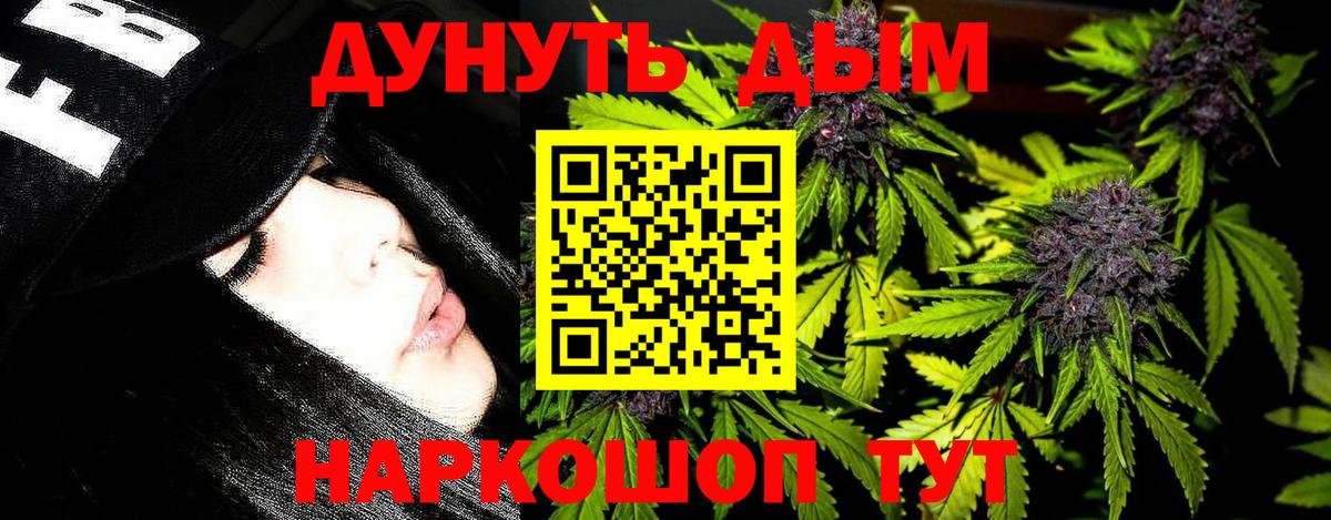Канабис план Кузнецк