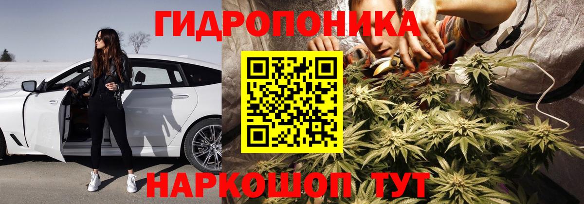 Бошки марихуана план Кузнецк